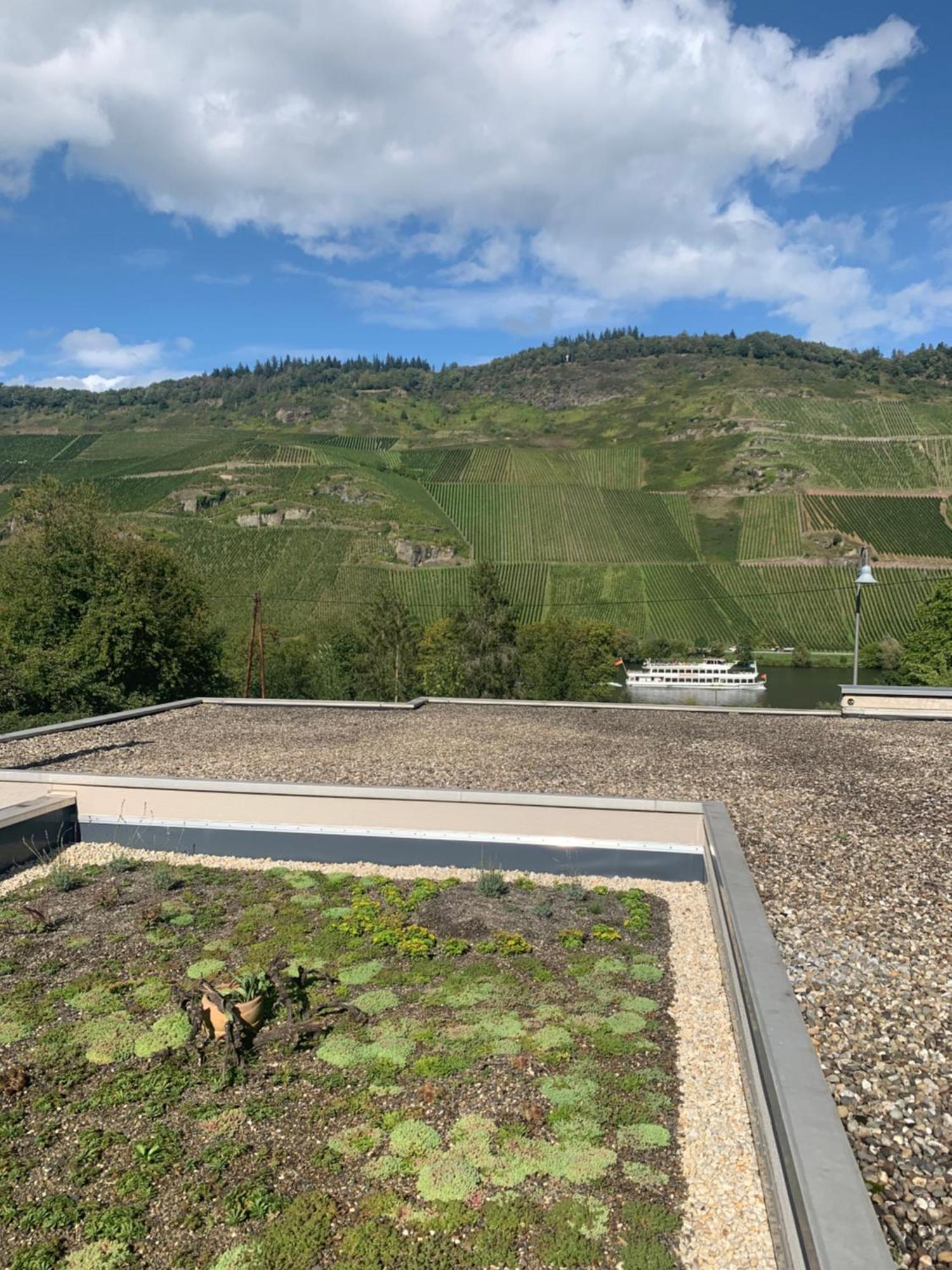 Weinrebe Apartment Bernkastel-Kues Exterior photo
