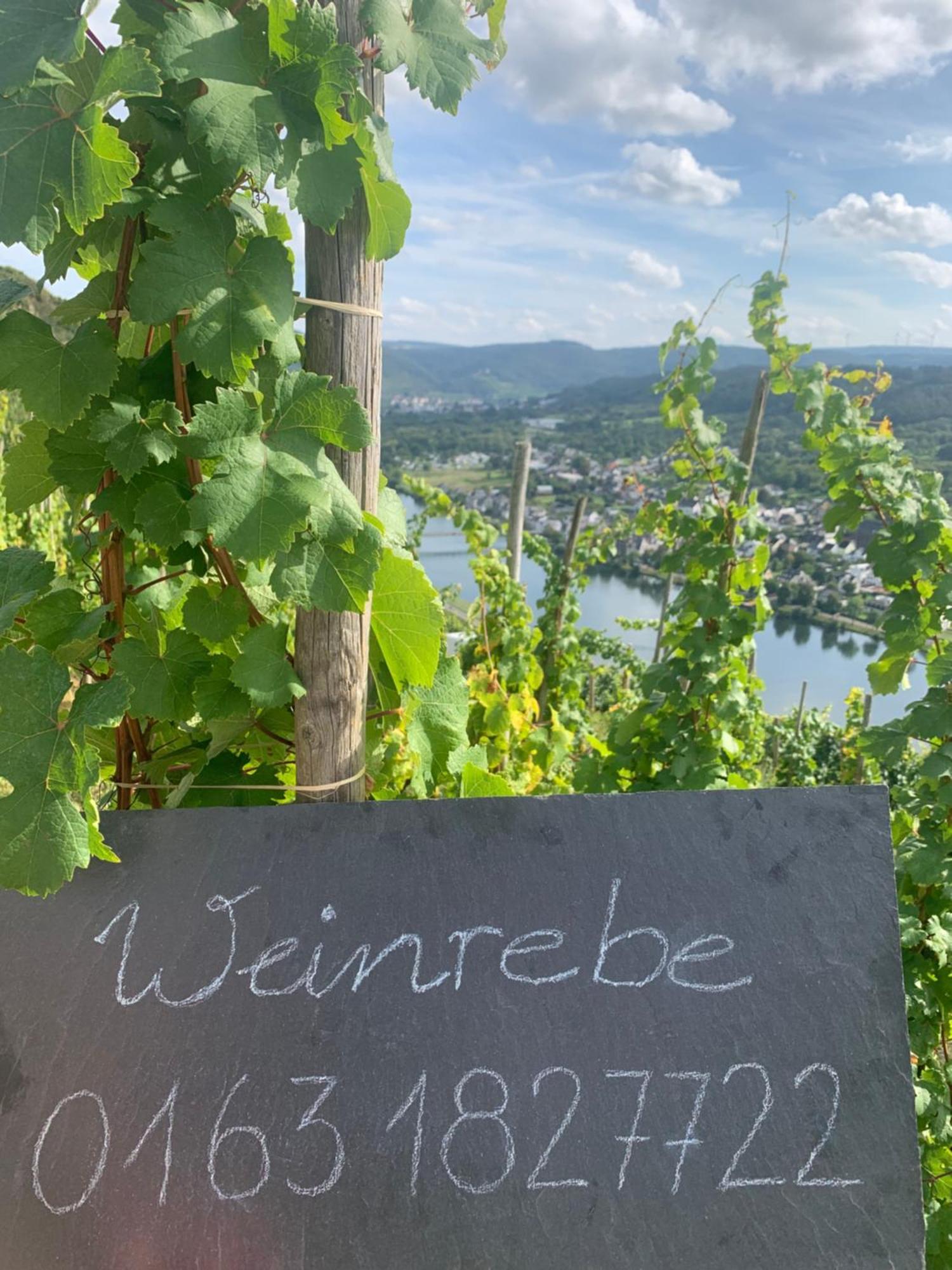 Weinrebe Apartment Bernkastel-Kues Exterior photo